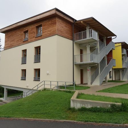 Family Apartment Lipno Lake Lipno nad Vltavou Esterno foto